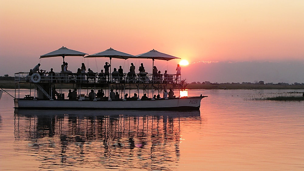 Elephant herd along Chobe River in Botswana, luxury African wildlife safari and river cruise destination