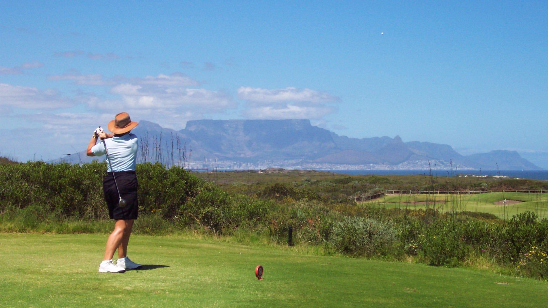 Vineyard estate in Stellenbosch with distant mountains, Cape Winelands golf tour and wine tasting holiday